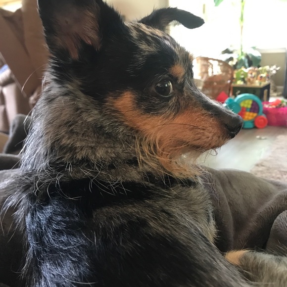 Meet your Posher, Taylor - Picture 3 of 4